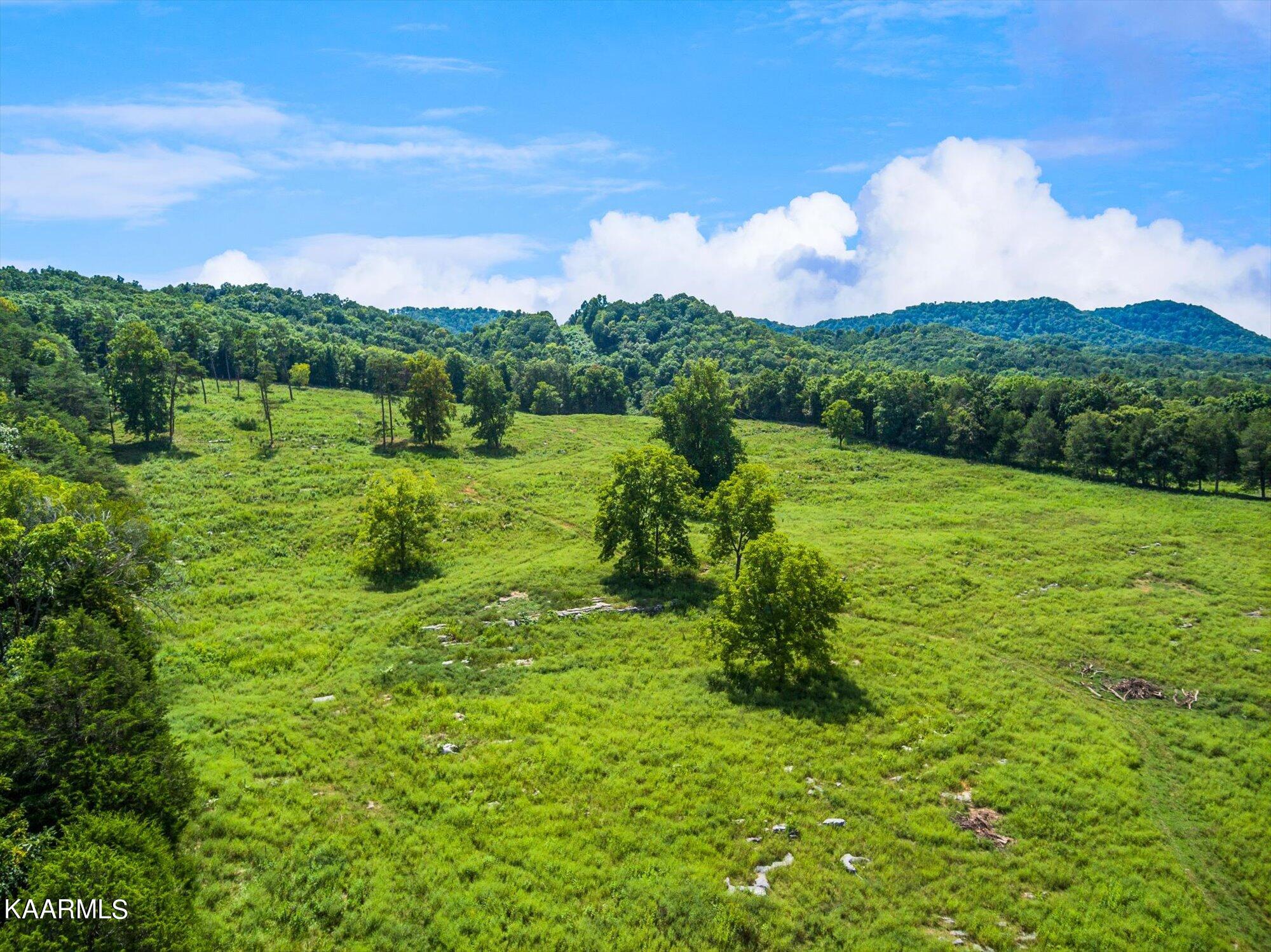 228 Doc Hill Road Rutledge, TN 37861 - Photo 25 of 25 25-228-Doc-Hill-Rd-Rutledge-TN-25