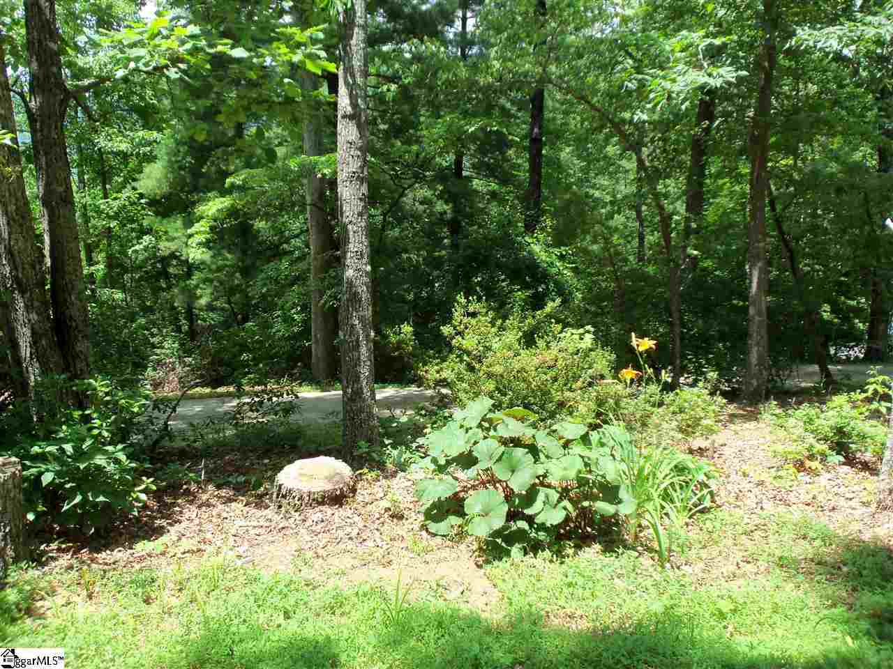 202 River Bluff Road Cleveland, SC 29635 - Photo 17 of 19