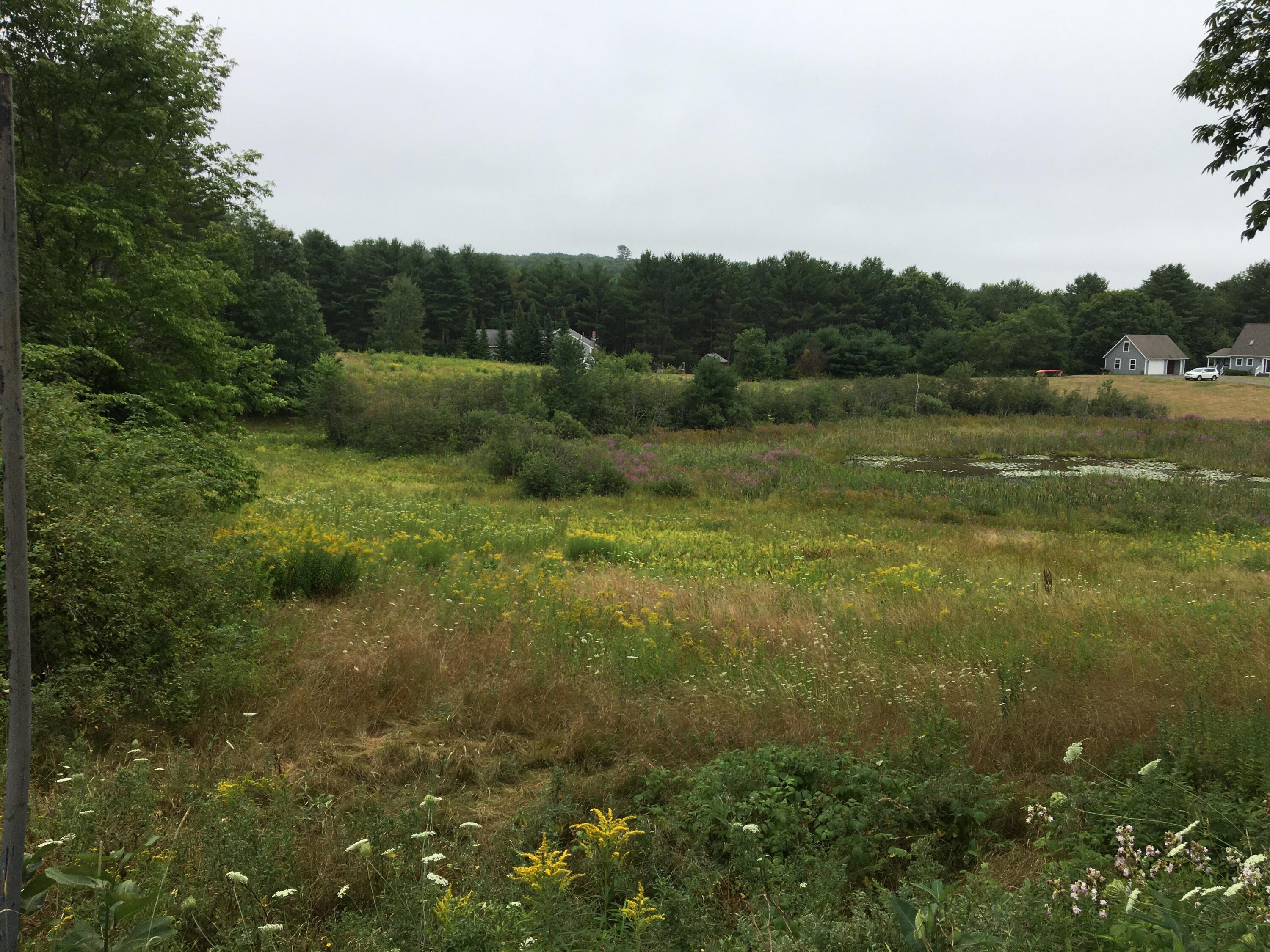 0 Dodge Road Edgecomb, ME 04556 - Photo 1 of 4 IMG_1008
