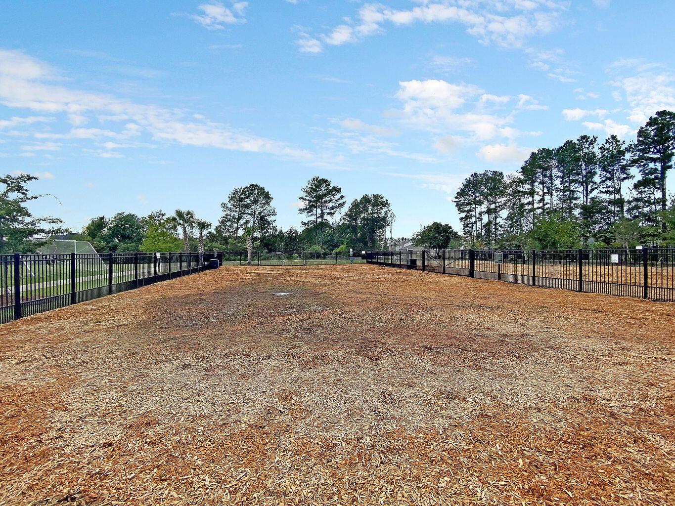 412 Black Horse Road Moncks Corner, SC 29461 - Photo 45 of 47 sgp dog park