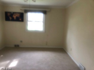 291 Glenview Road Canfield, OH 44406 - Photo 15 of 22 Gallery Image 15