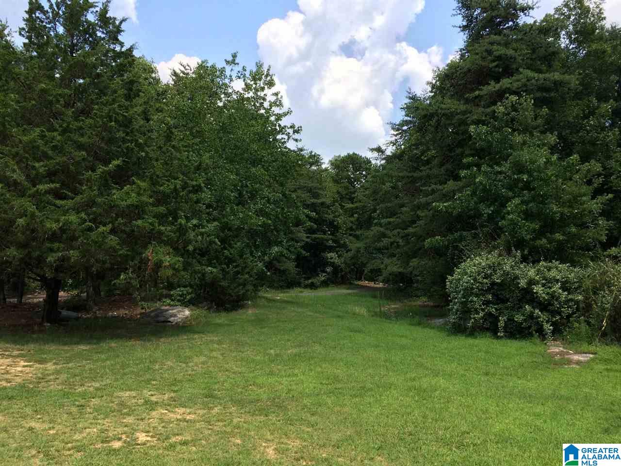 720 Mountain Ridge Road Oneonta, AL 35121 - Photo 12 of 47