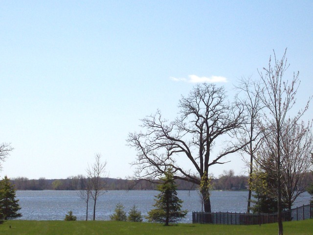 1137 Oak Point Court Antioch, IL 60002 - Photo 2 of 2 a backyard of a house with lots of green space