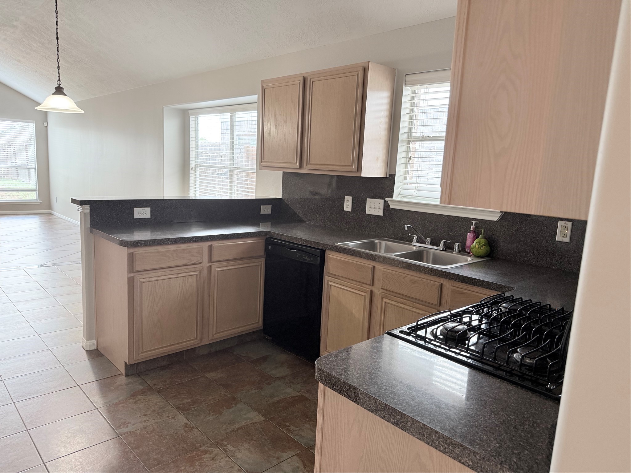 21514 Juniper Meadows Drive Spring, TX 77388 - Photo 7 of 35 21514 Juniper Meadow Kitchen