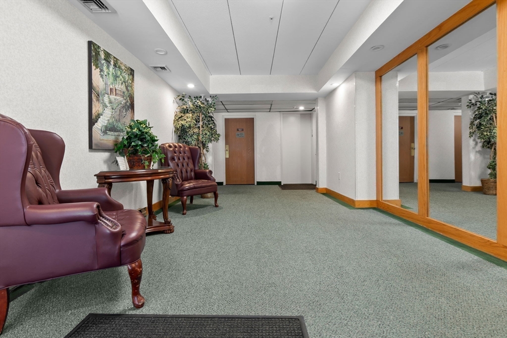 133 Franklin Street, Unit 503 Stoneham, MA 02180 - Photo 21 of 23 a living room with furniture and a potted plant