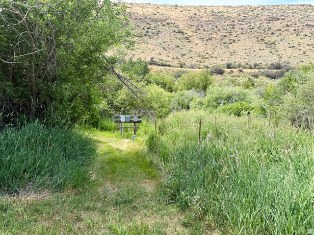1133 Paris Canyon Road Paris, ID 83261 - Photo 66 of 75 Abundant greenery surround this RV hookup