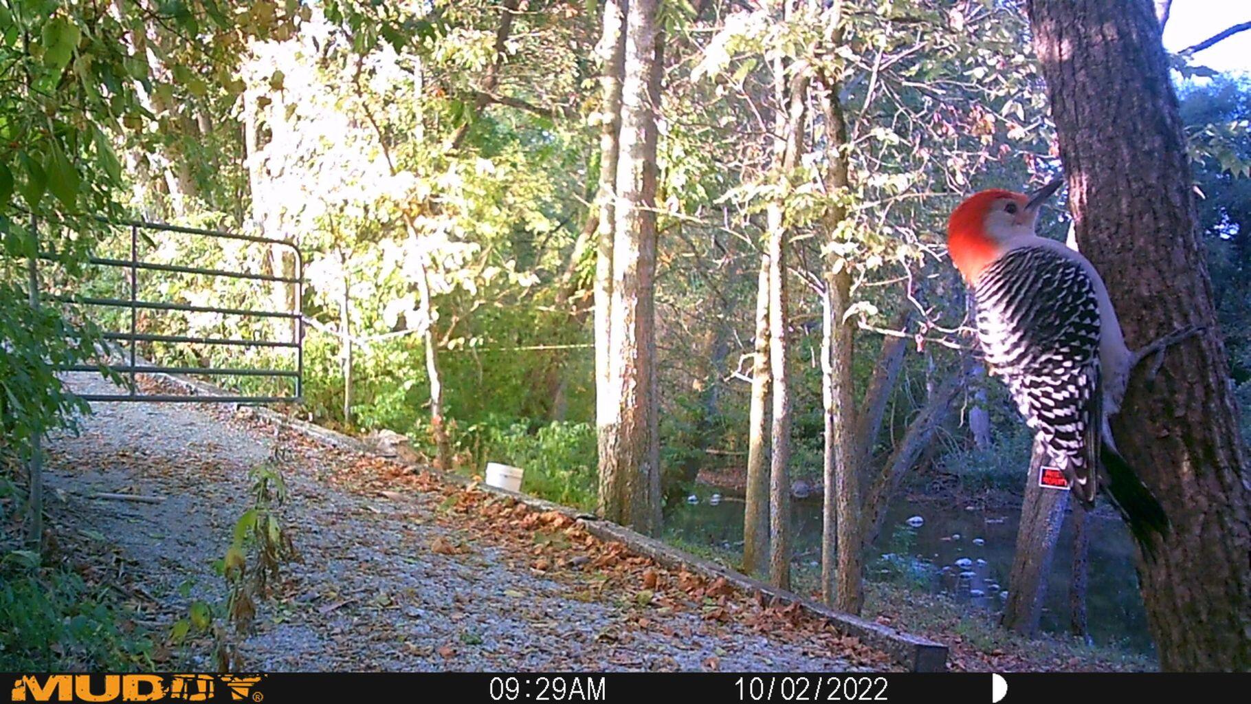 0 Fetters Road Bradford, OH 45308 - Photo 29 of 56