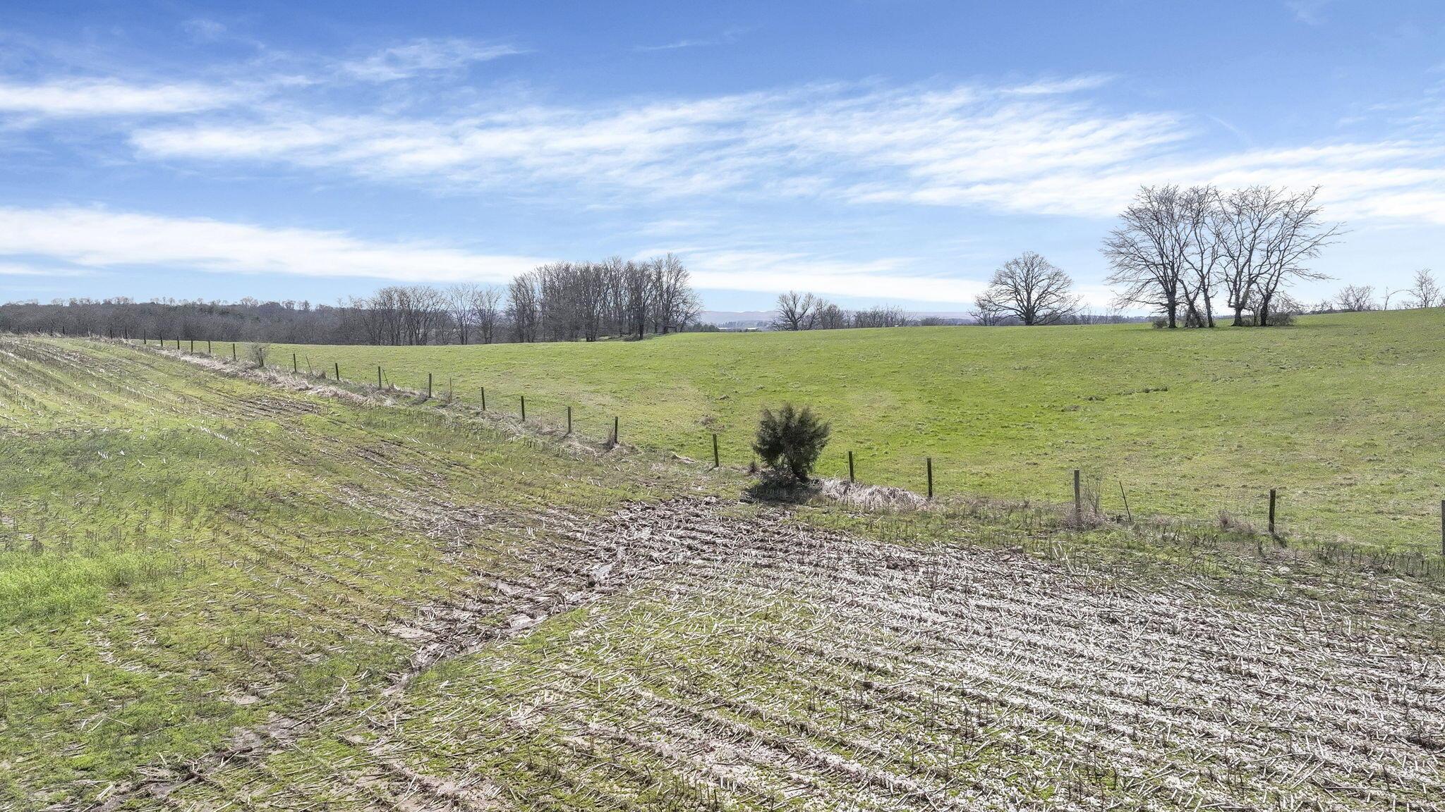 0 Armstrong Road Laurelville, OH 43135 - Photo 11 of 33 11-web-or-mls-0-armstrong-rd