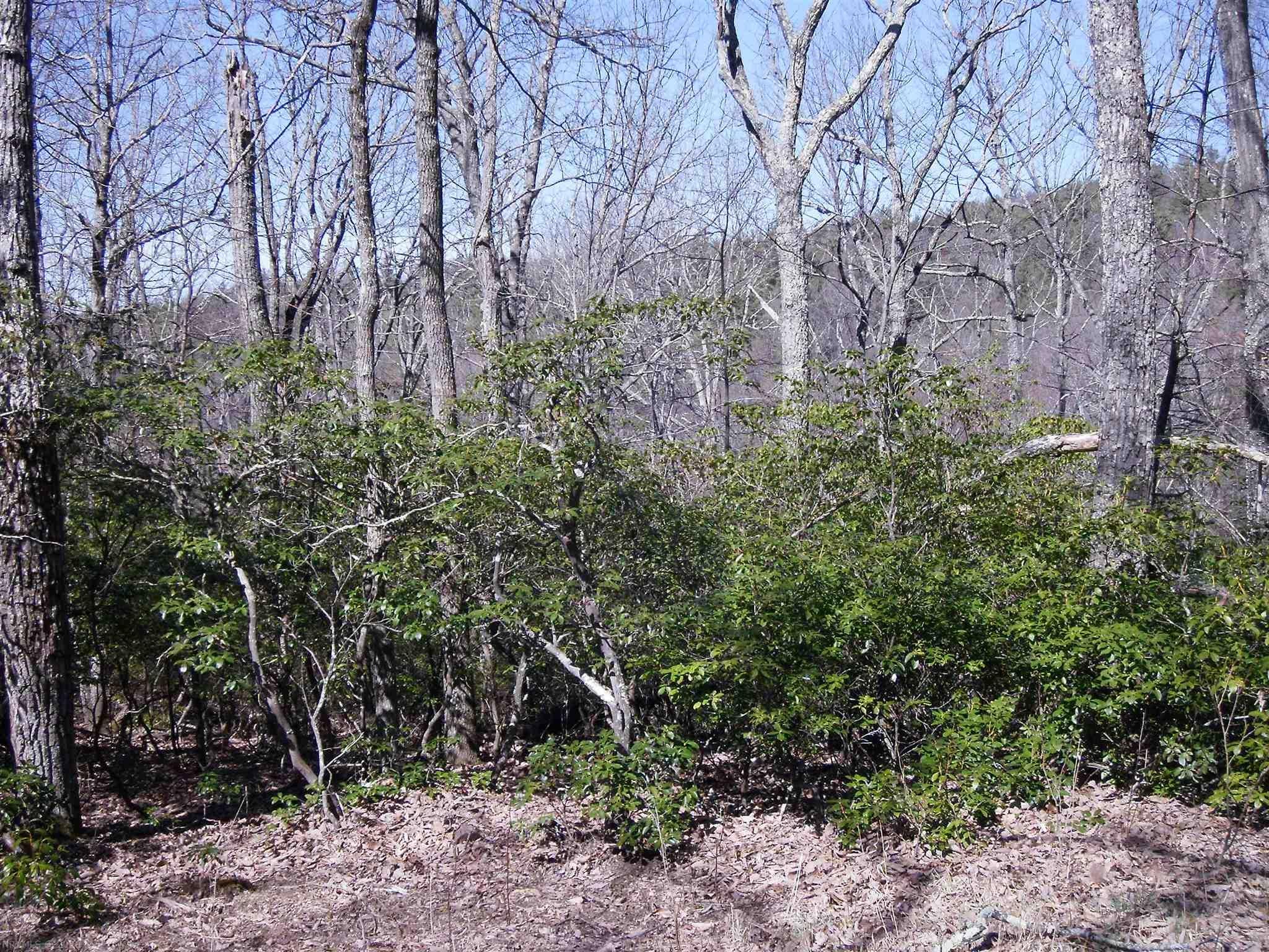 4 Countyline Church Road Southeast Floyd, VA 24091 - Photo 1 of 3 Gallery Image 1
