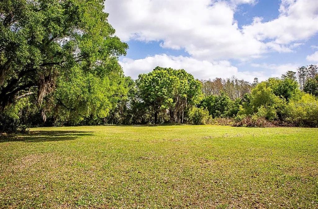 13815 Plainview Road, Unit LOT 1 Odessa, FL 33556 - Photo 59 of 61 Gallery Image 59