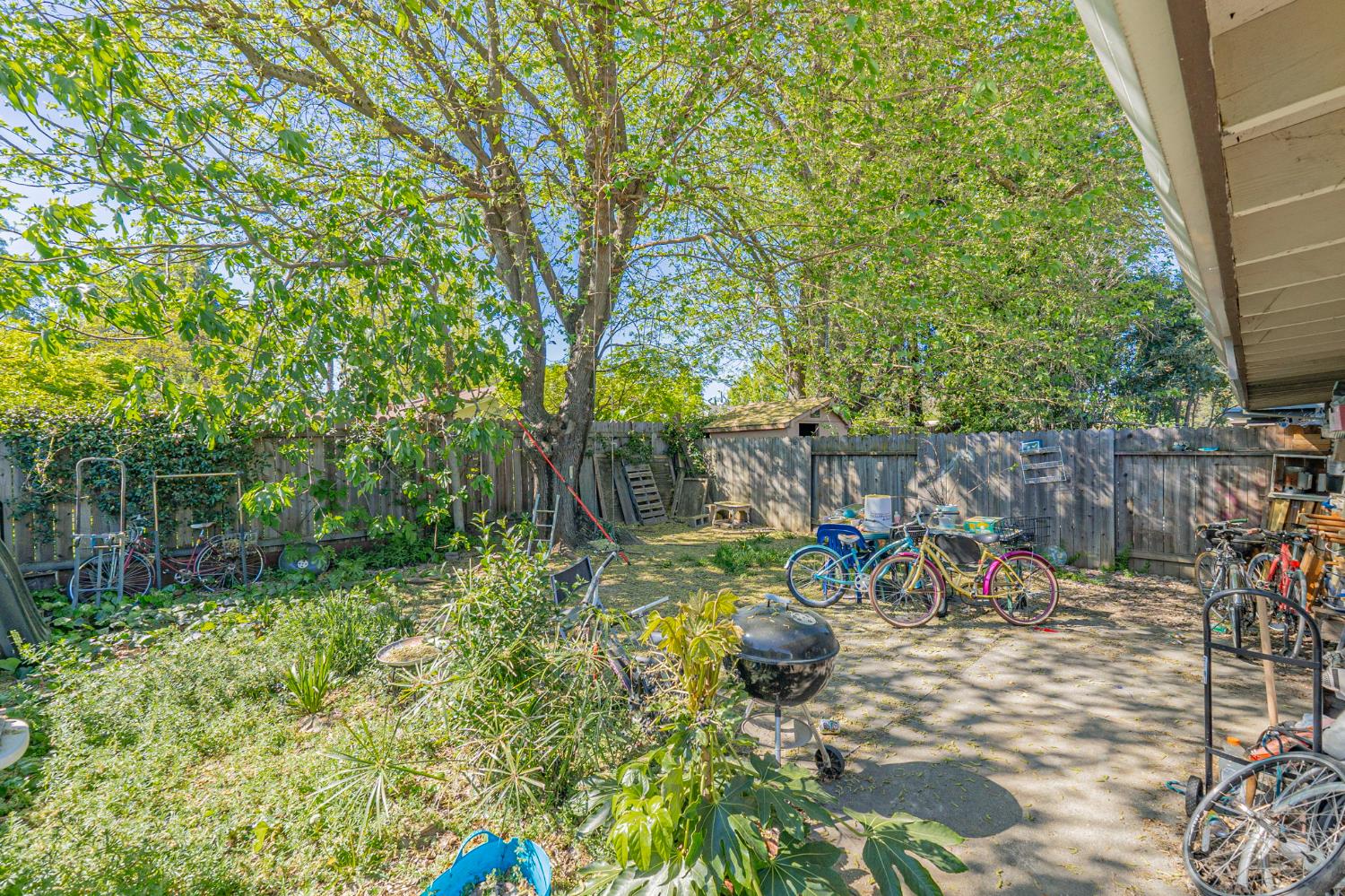 916 Drake Drive Davis, CA 95616 - Photo 7 of 19 a view of yard with green space