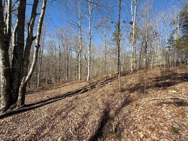 a view of a backyard of the house
