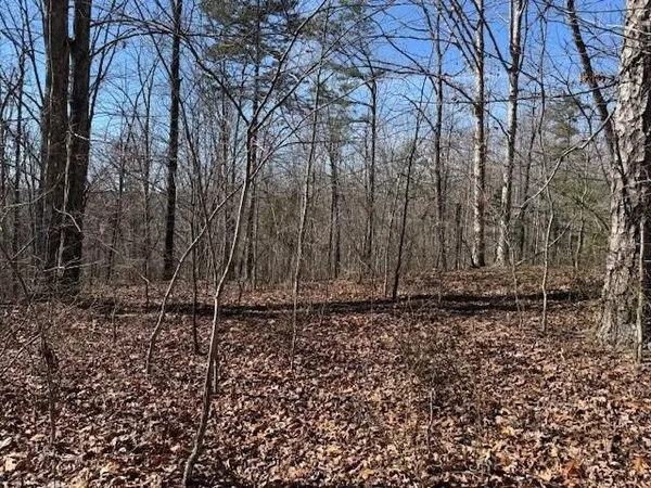 a view of a backyard of the house