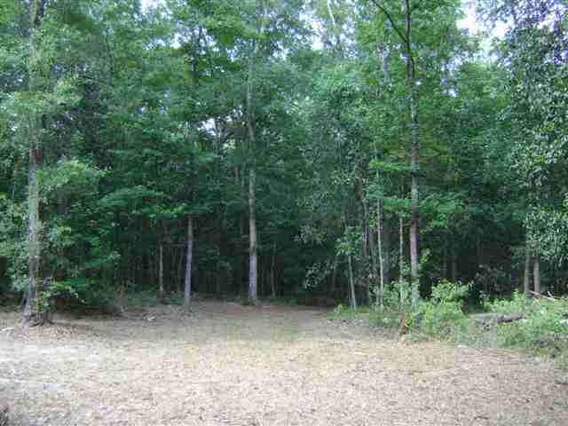 565 Small Pond Road Havana, FL 32333 - Photo 1 of 10 Gallery Image 1