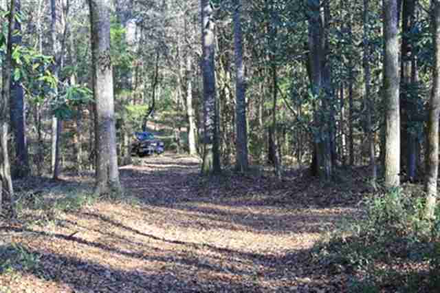 565 Small Pond Road Havana, FL 32333 - Photo 3 of 10 Gallery Image 3