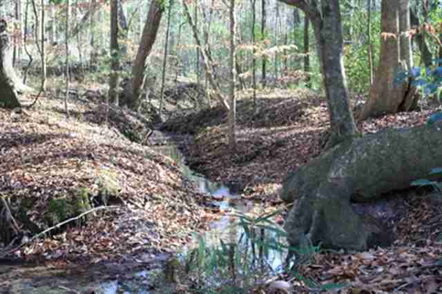 565 Small Pond Road Havana, FL 32333 - Photo 5 of 10 Gallery Image 5