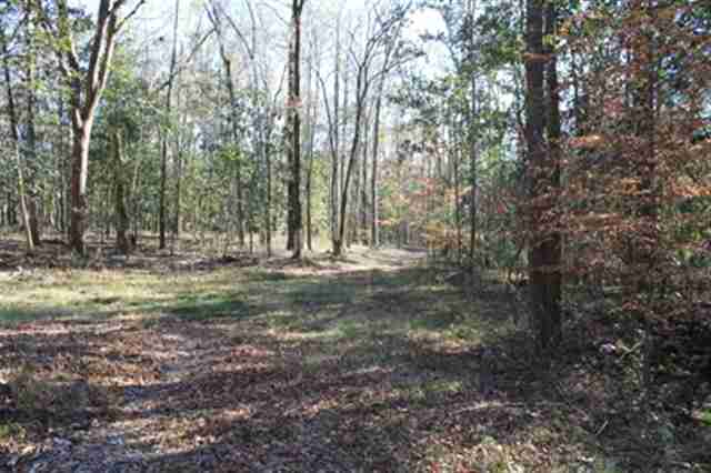 565 Small Pond Road Havana, FL 32333 - Photo 7 of 10 Gallery Image 7