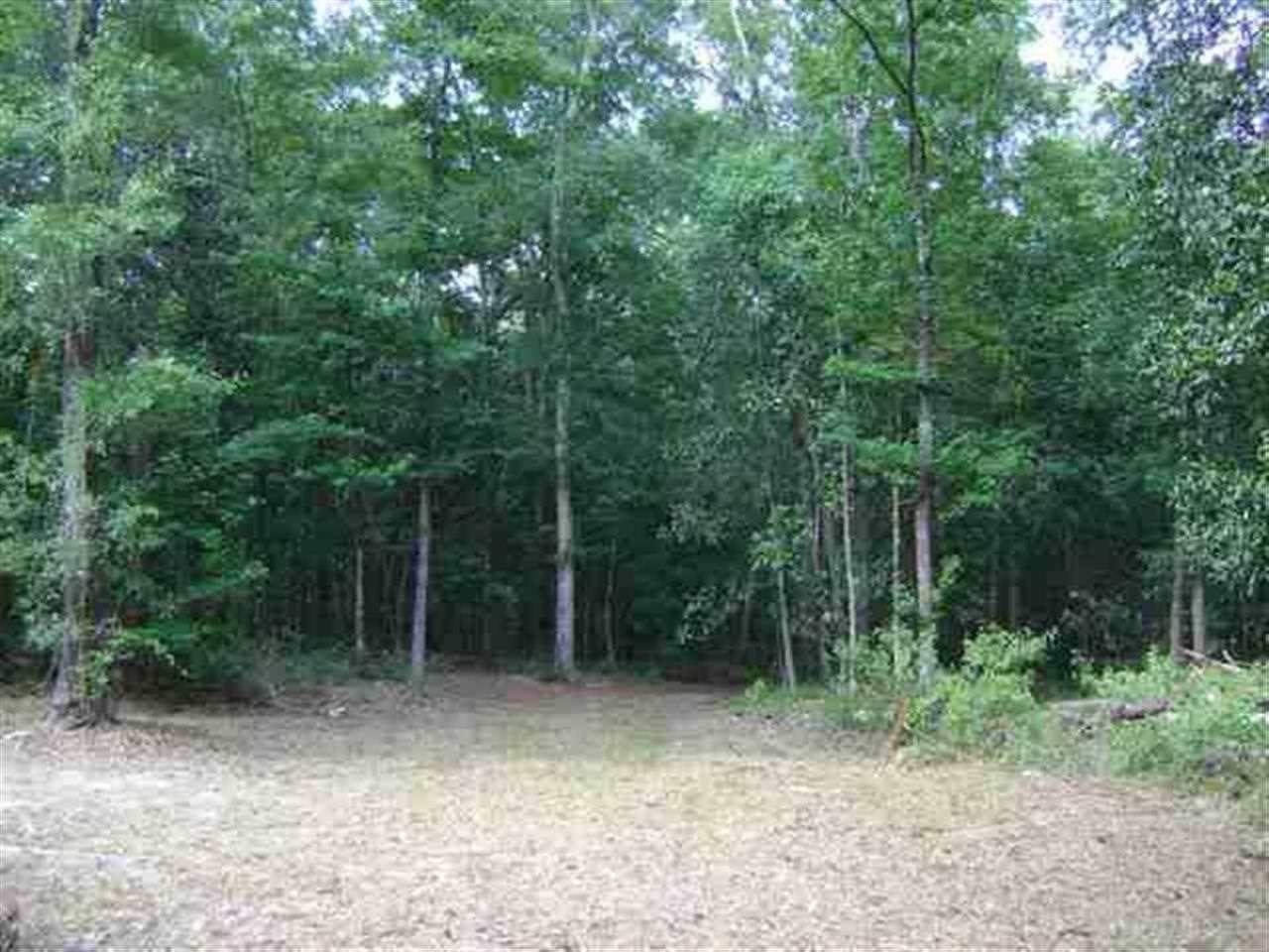 565 Small Pond Road Havana, FL 32333 - Photo 10 of 10 Gallery Image 10