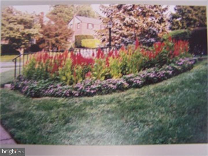 1728 Tyson Road Havertown, PA 19083 - Photo 24 of 25 Garden