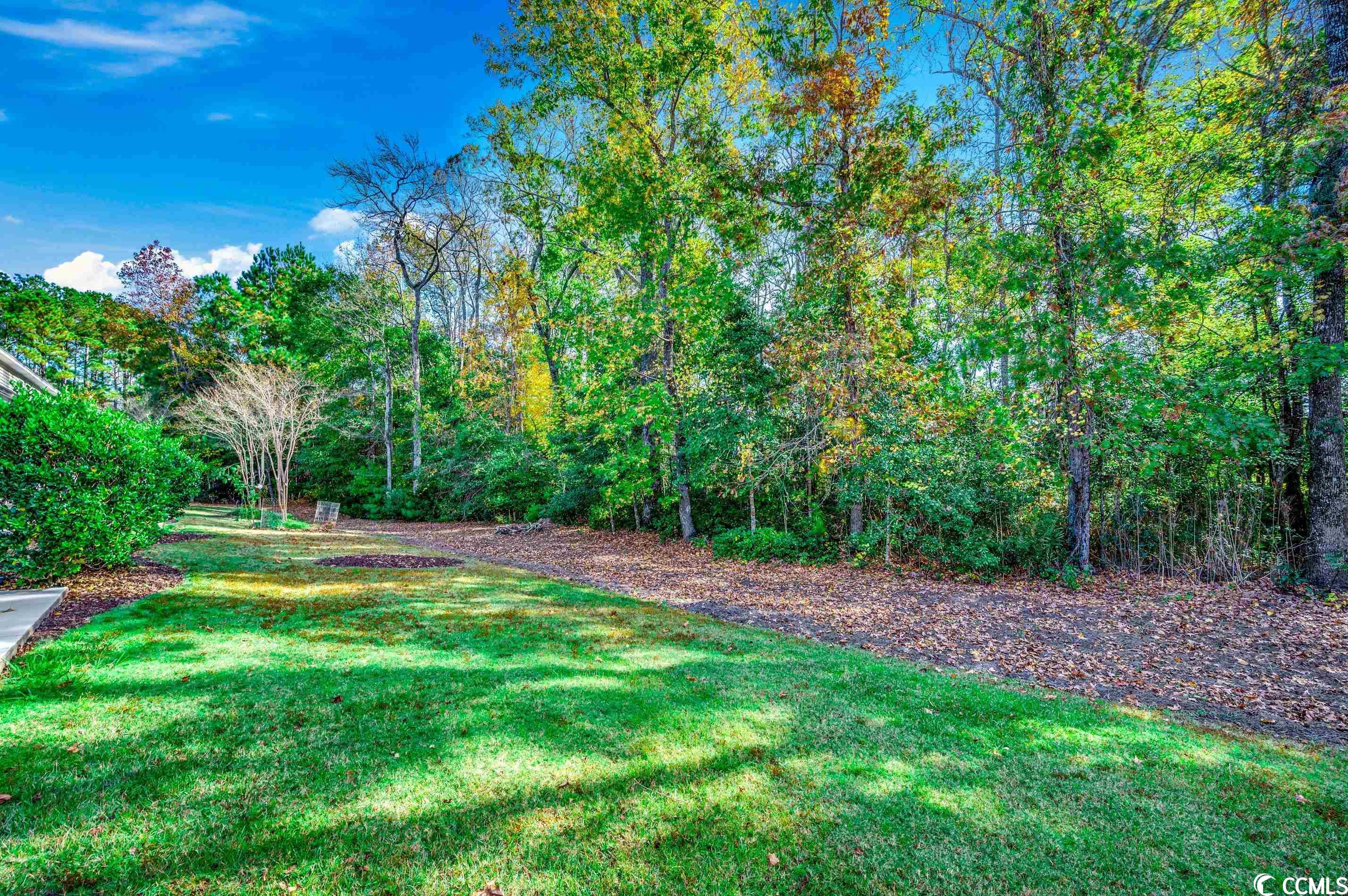 256 Madrid Drive, Unit 256 Murrells Inlet, SC 29576 - Photo 22 of 40 Gallery Image 22