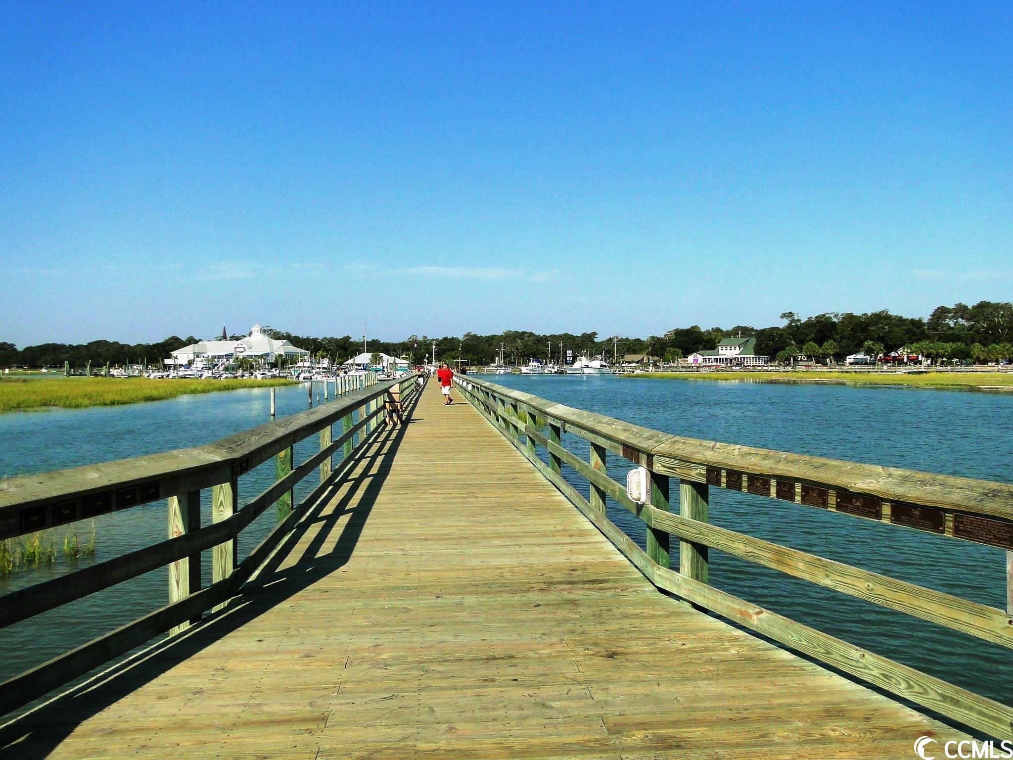 256 Madrid Drive, Unit 256 Murrells Inlet, SC 29576 - Photo 38 of 40 Gallery Image 38