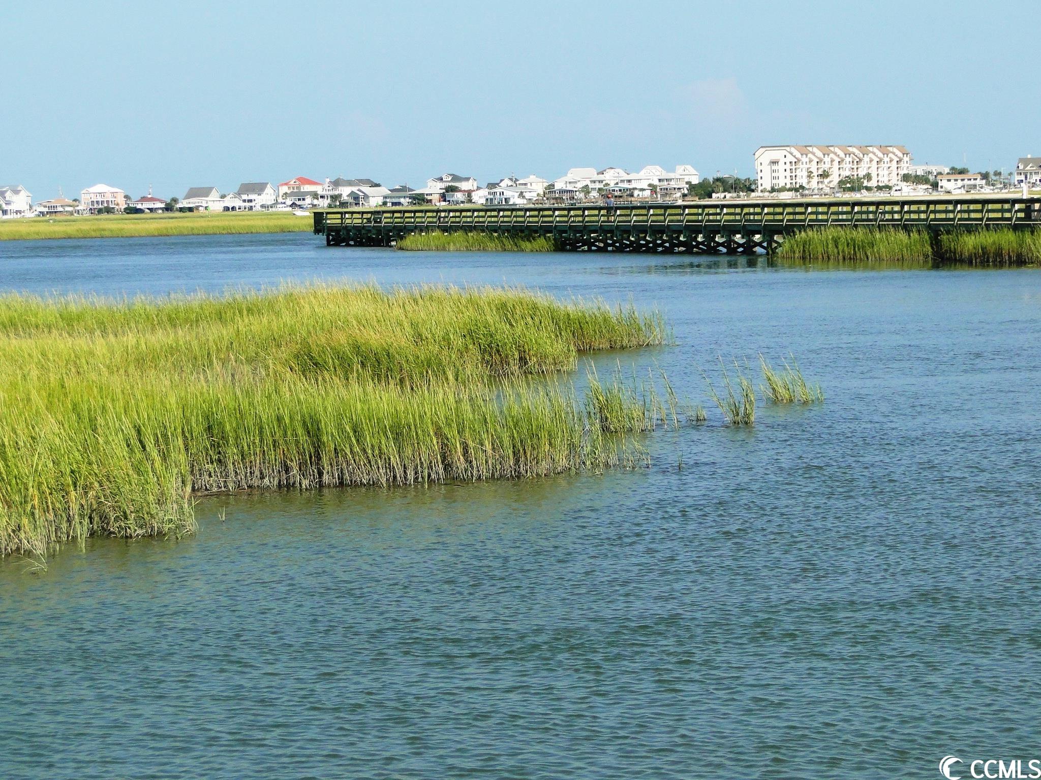 256 Madrid Drive, Unit 256 Murrells Inlet, SC 29576 - Photo 39 of 40 Gallery Image 39
