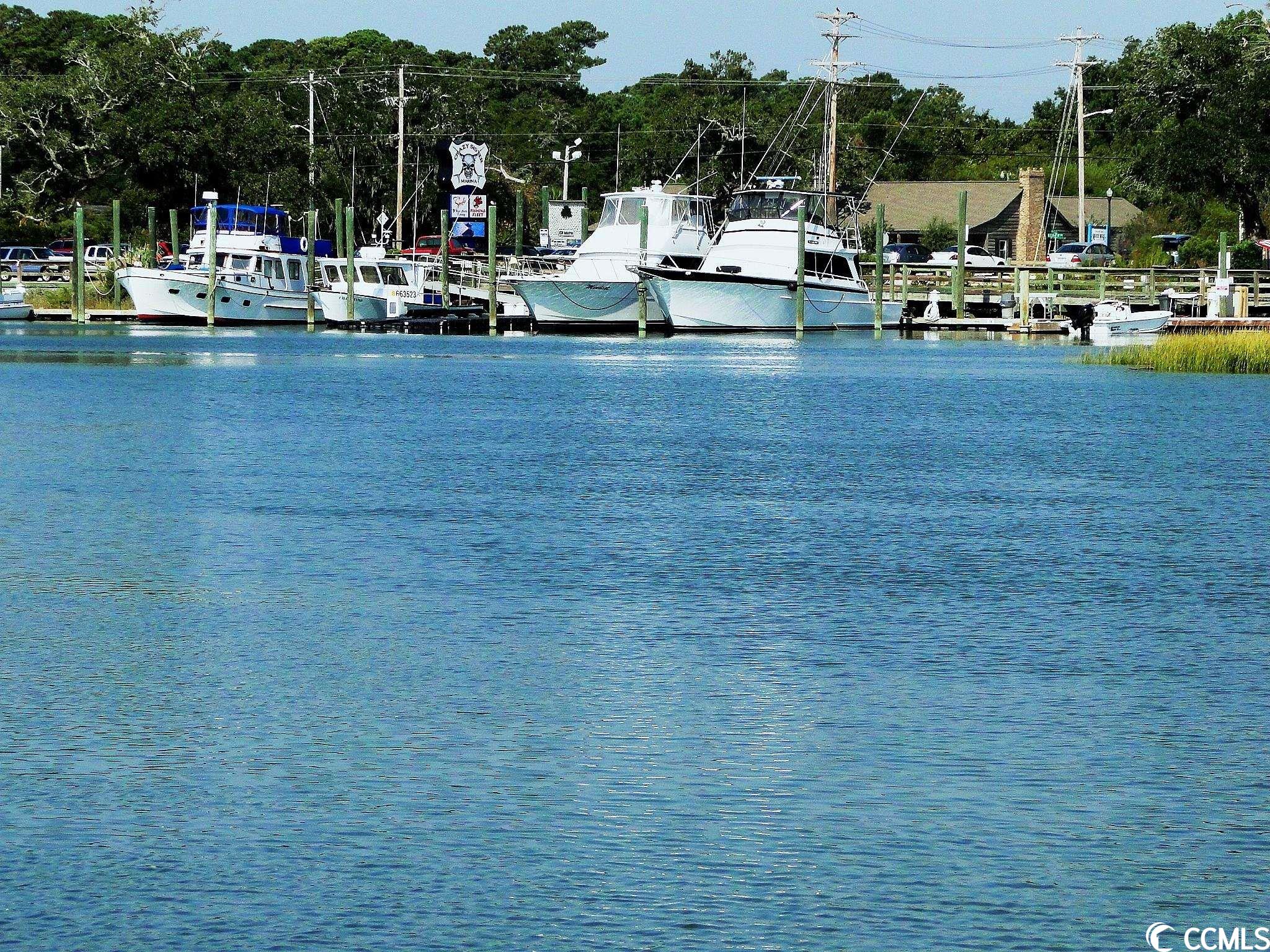 256 Madrid Drive, Unit 256 Murrells Inlet, SC 29576 - Photo 40 of 40 Gallery Image 40