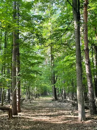 $54,900 | Mortimer Line Road, Croswell, MI 48422