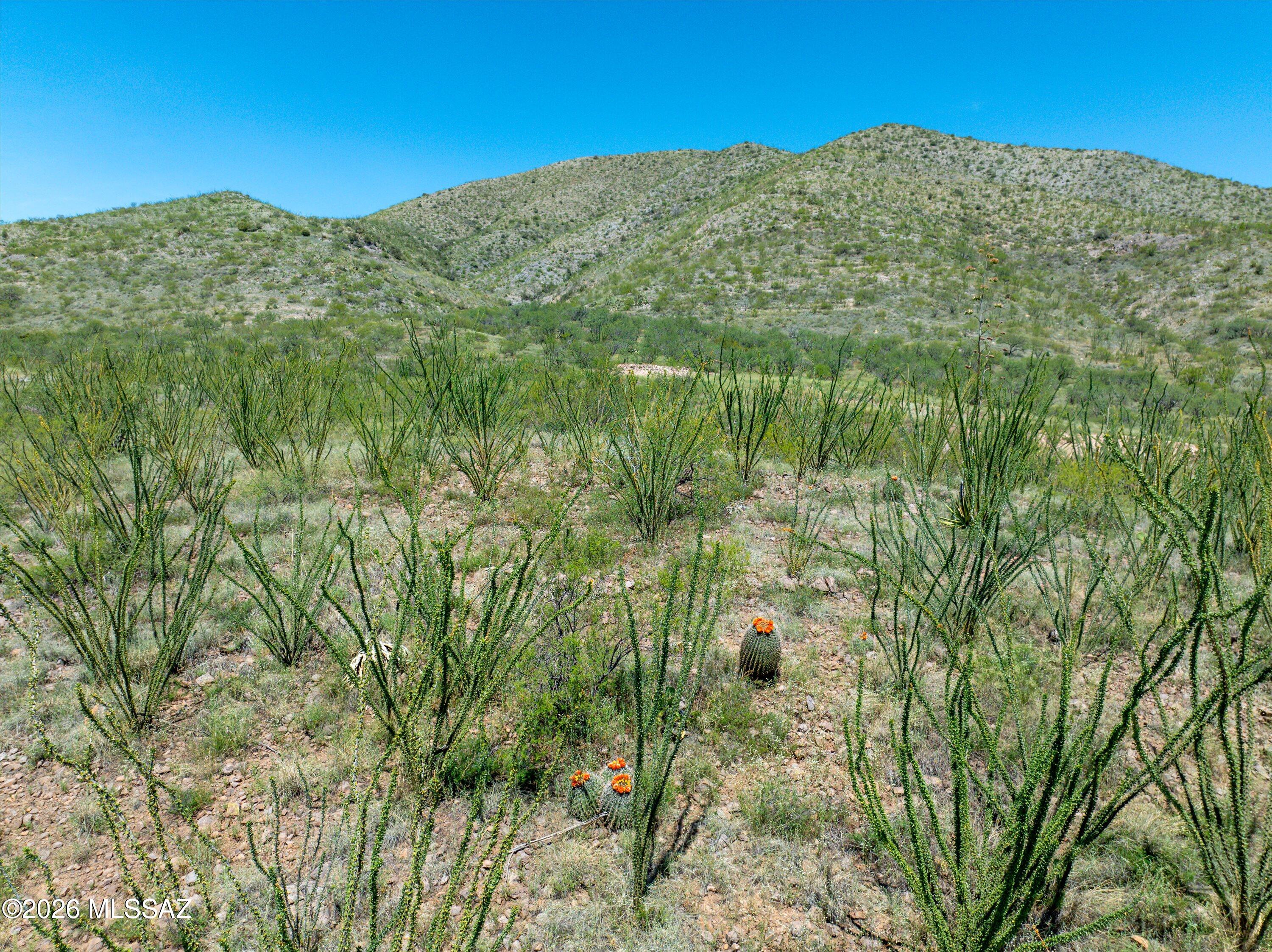 East Hillton Ranch Road Vail, AZ 85641 - Photo 34 of 34 31-hilton-v2-30