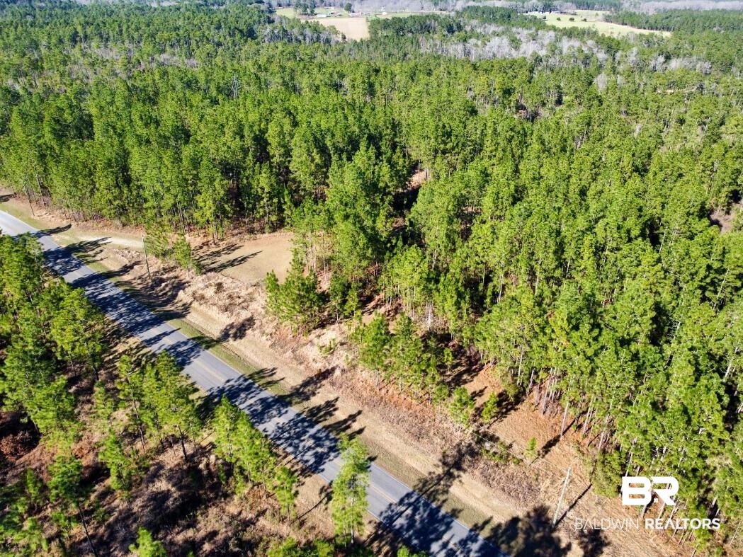 White Road Bay Minette, AL 36507 - Photo 10 of 32 Aerial view featuring a view of trees