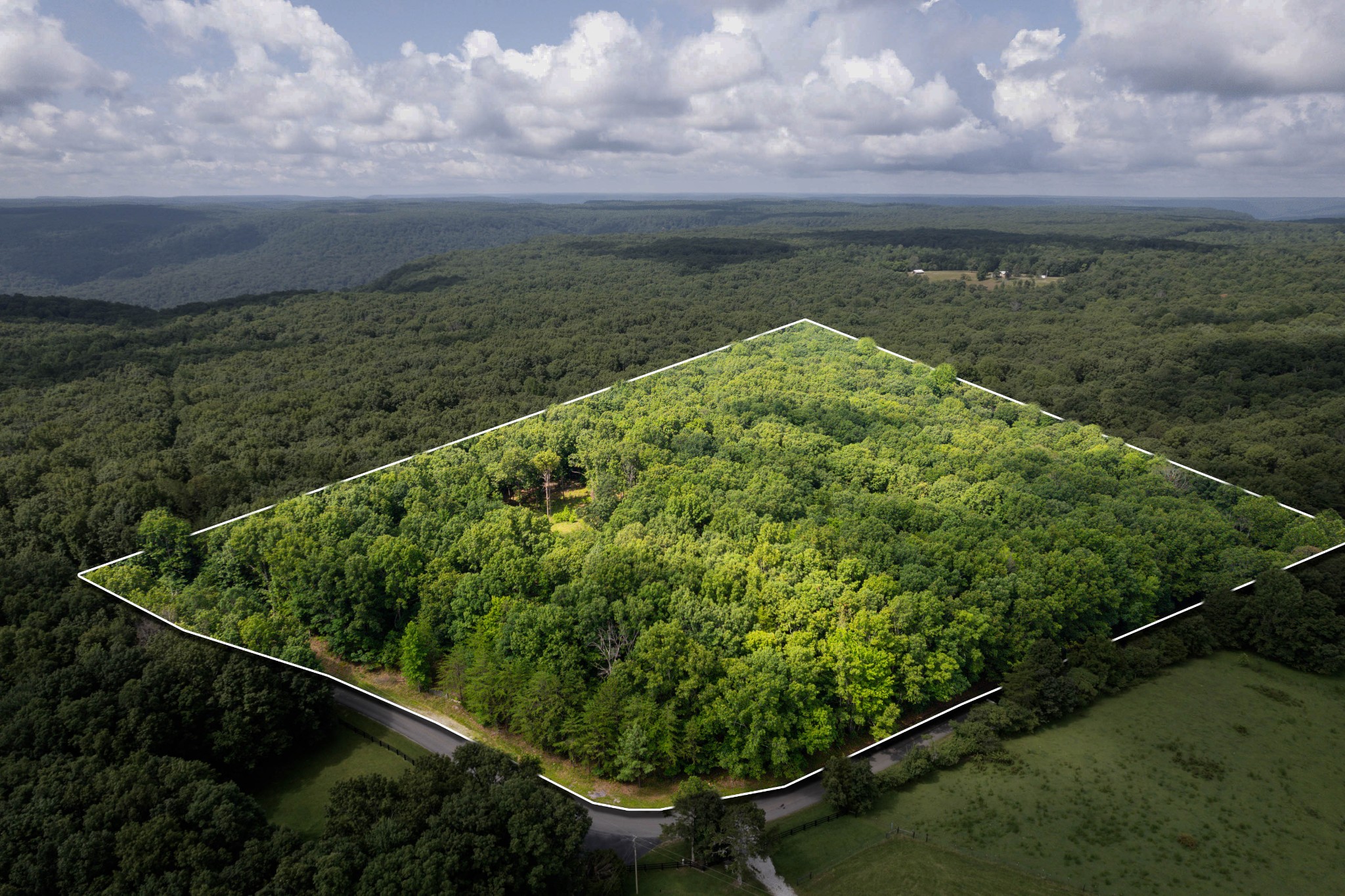 a view of a garden from a balcony