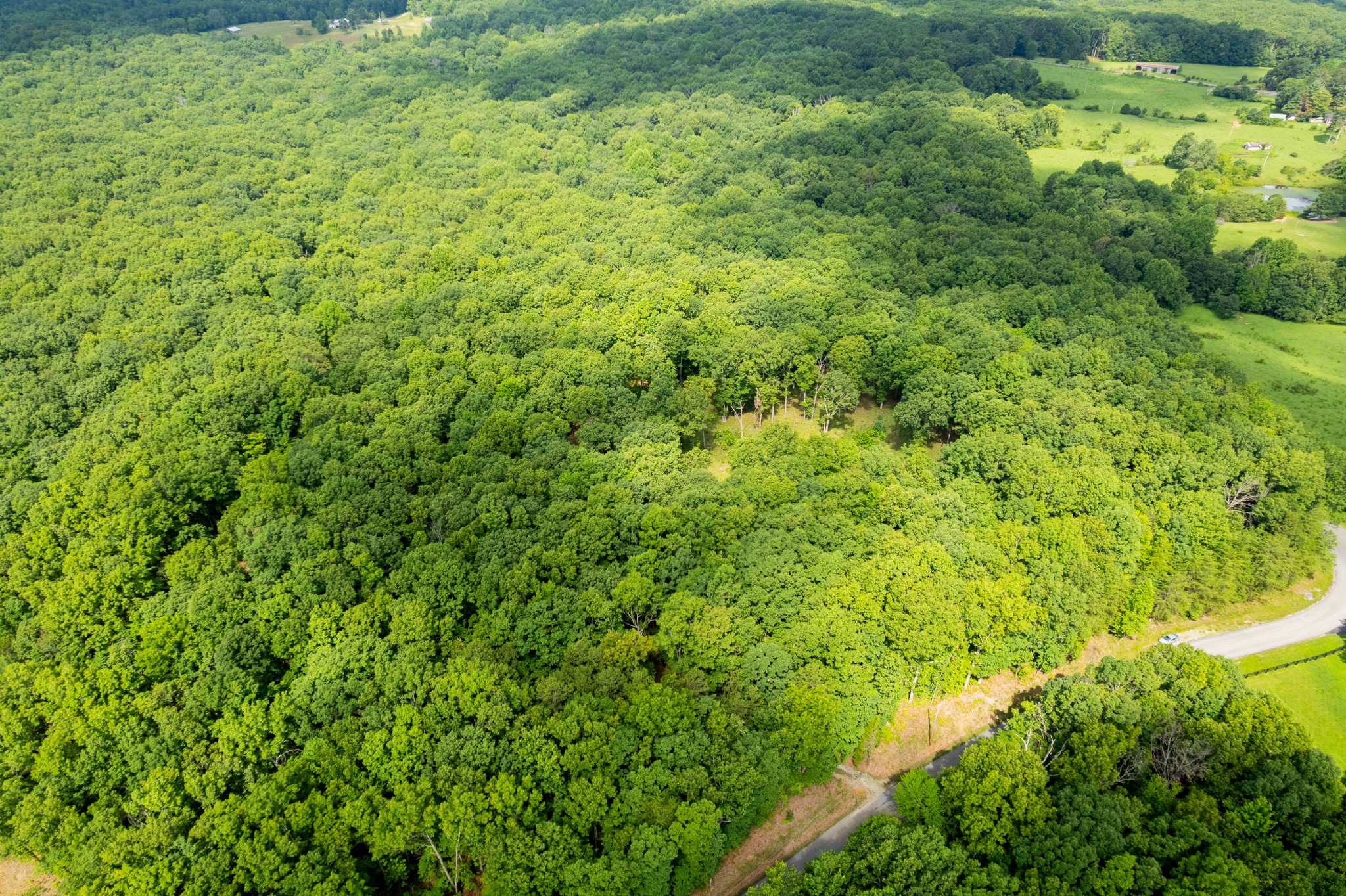 0 Stage Coach Road Sewanee, TN 37375 - Photo 4 of 7 a view of a lush green forest with lots of trees