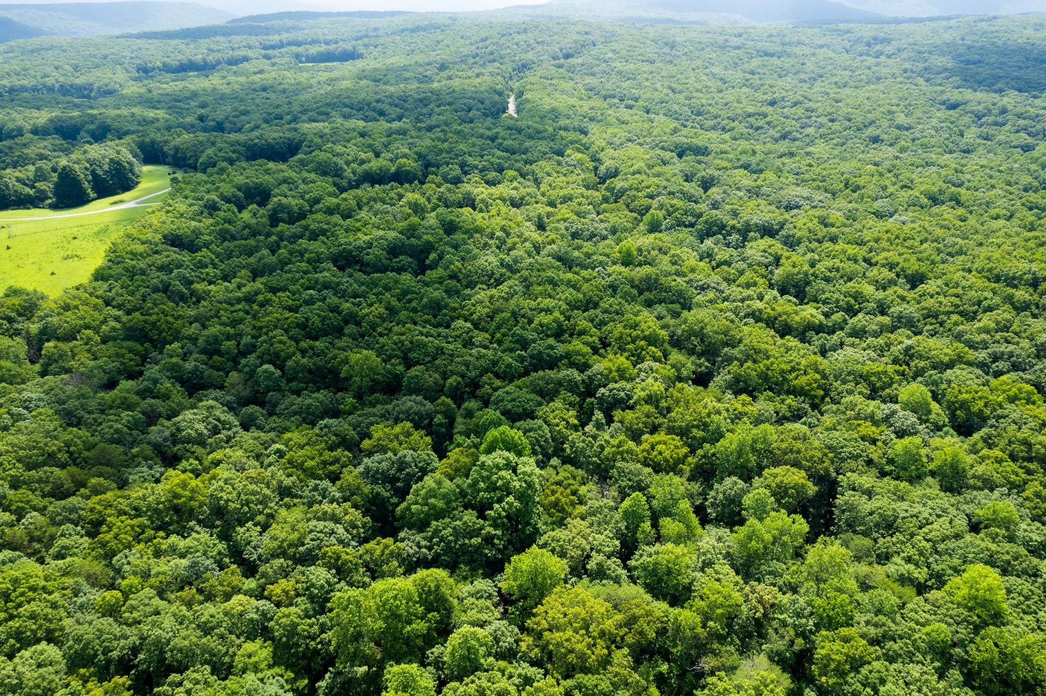 0 Stage Coach Road Sewanee, TN 37375 - Photo 5 of 7 an aerial view of residential house with outdoor space and trees all around