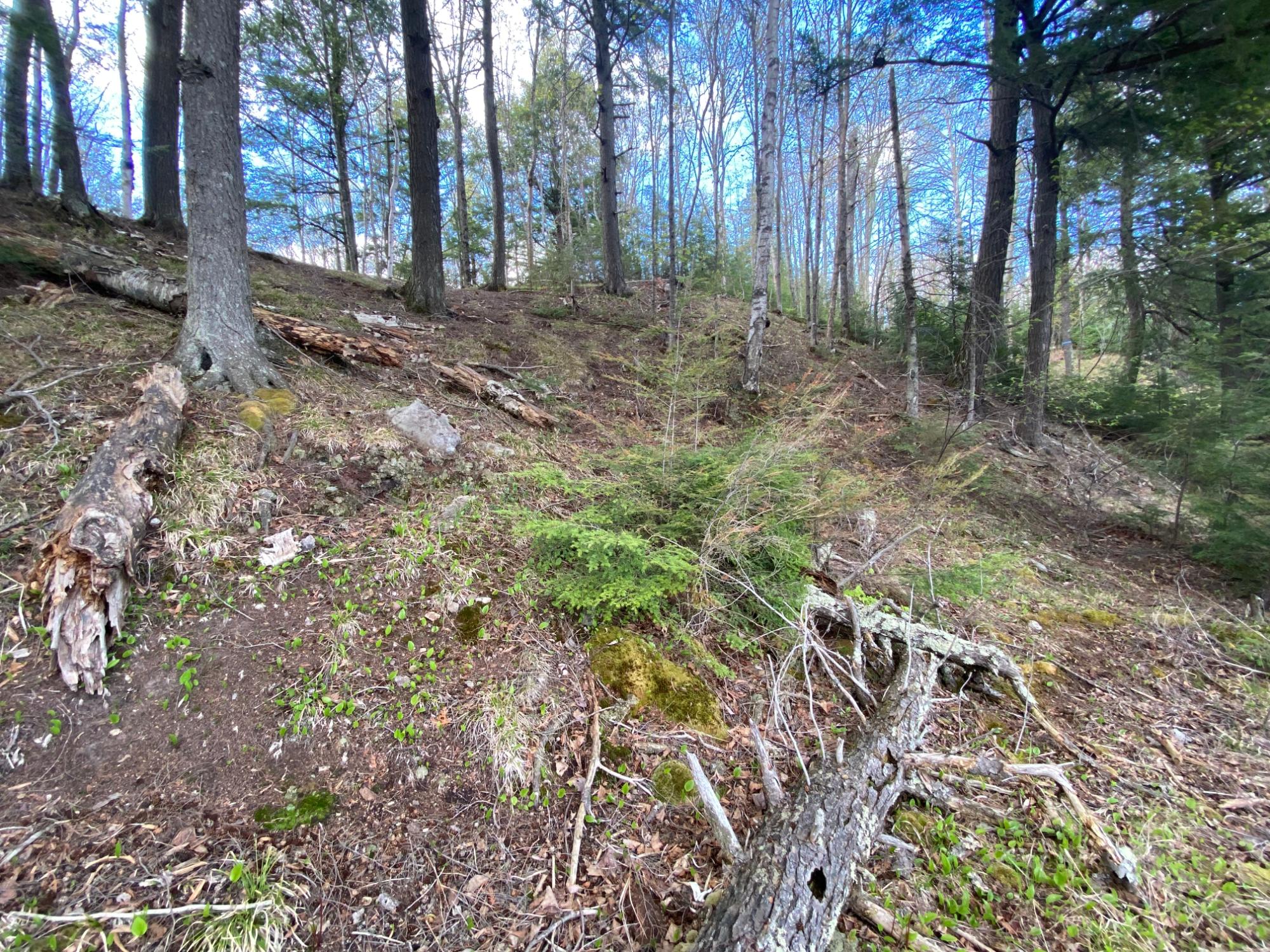 Lot #1 Channel Road Watersmeet, MI 49969 - Photo 9 of 21 Gallery Image 9