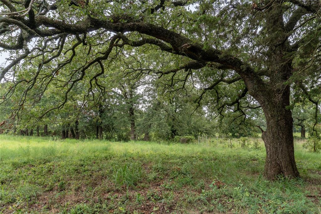 T4 Coleman Ranch Road Tolar, TX 76476 - Photo 1 of 17 a view of outdoor space with green field and trees all around