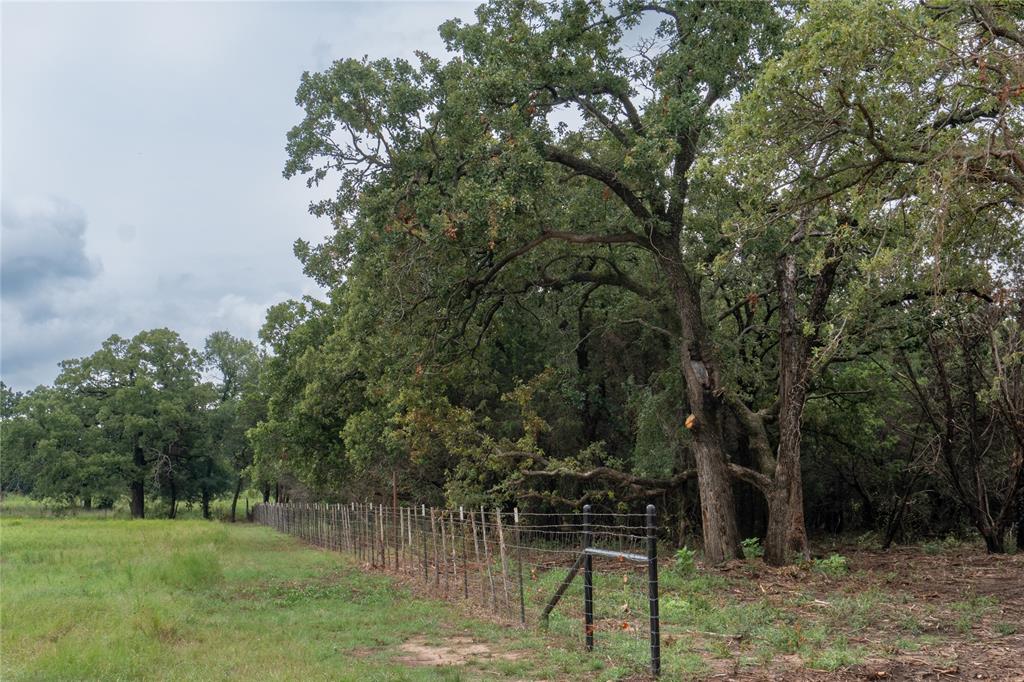T4 Coleman Ranch Road Tolar, TX 76476 - Photo 11 of 17 a view of outdoor space