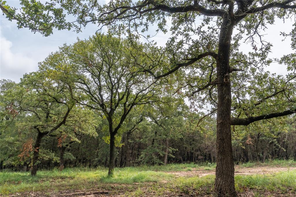 T4 Coleman Ranch Road Tolar, TX 76476 - Photo 14 of 17 a view of outdoor space with green field and trees