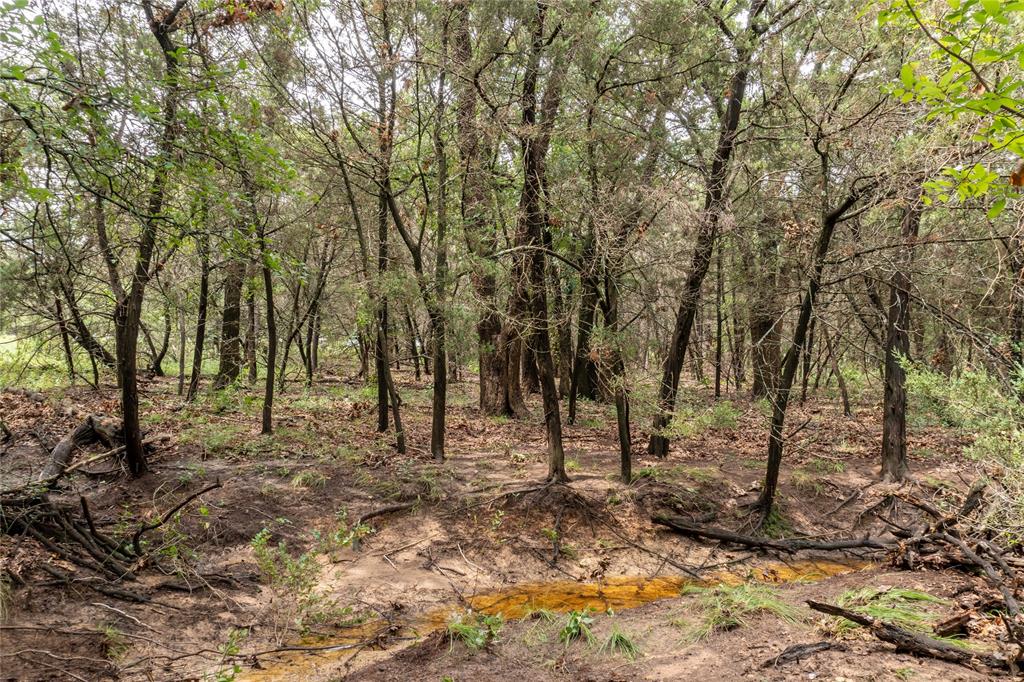 T4 Coleman Ranch Road Tolar, TX 76476 - Photo 17 of 17 a view of backyard with green space