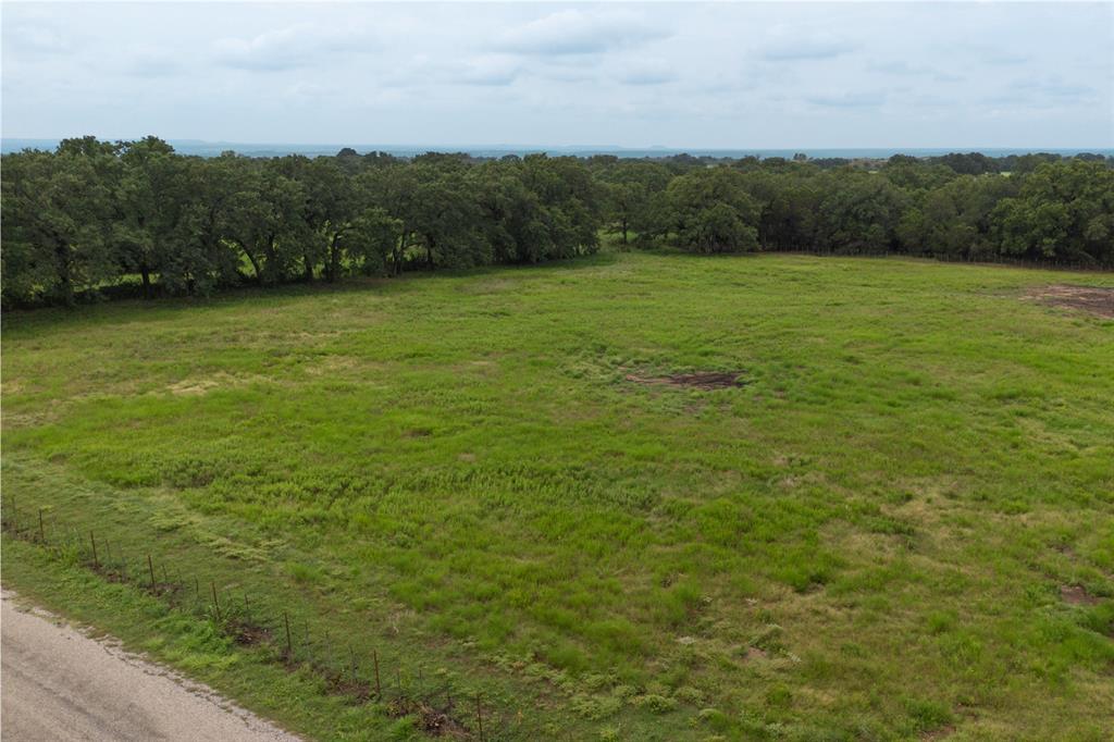 T4 Coleman Ranch Road Tolar, TX 76476 - Photo 6 of 17 a view of a field with an trees