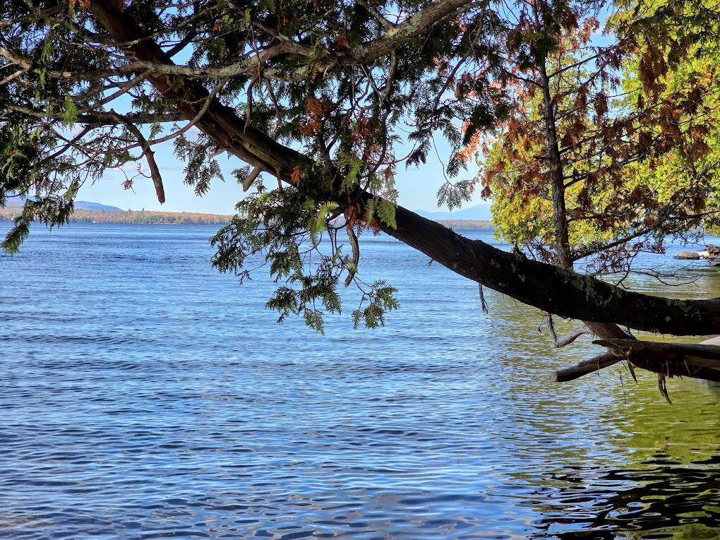 440 Railroad Bed Road Milo, ME 04463 - Photo 11 of 16 20251012_140011-EDIT