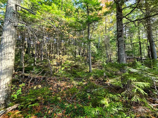 $399,999 | 440 Railroad Bed Road, Milo, ME 04463