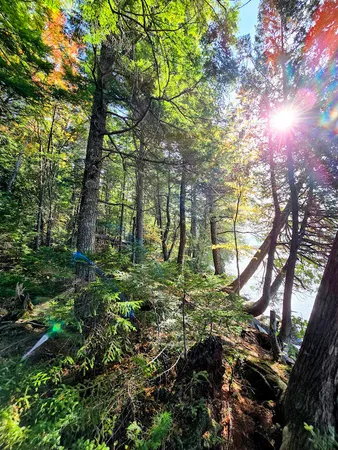 $399,999 | 440 Railroad Bed Road, Milo, ME 04463