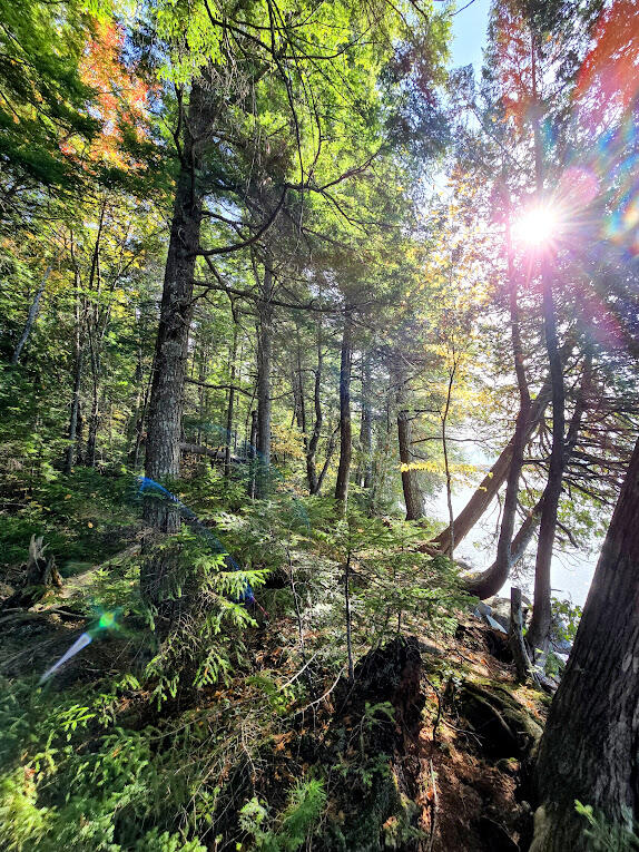 440 Railroad Bed Road Milo, ME 04463 - Photo 13 of 16 20251012_140103-EDIT