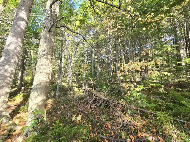 $399,999 | 440 Railroad Bed Road, Milo, ME 04463