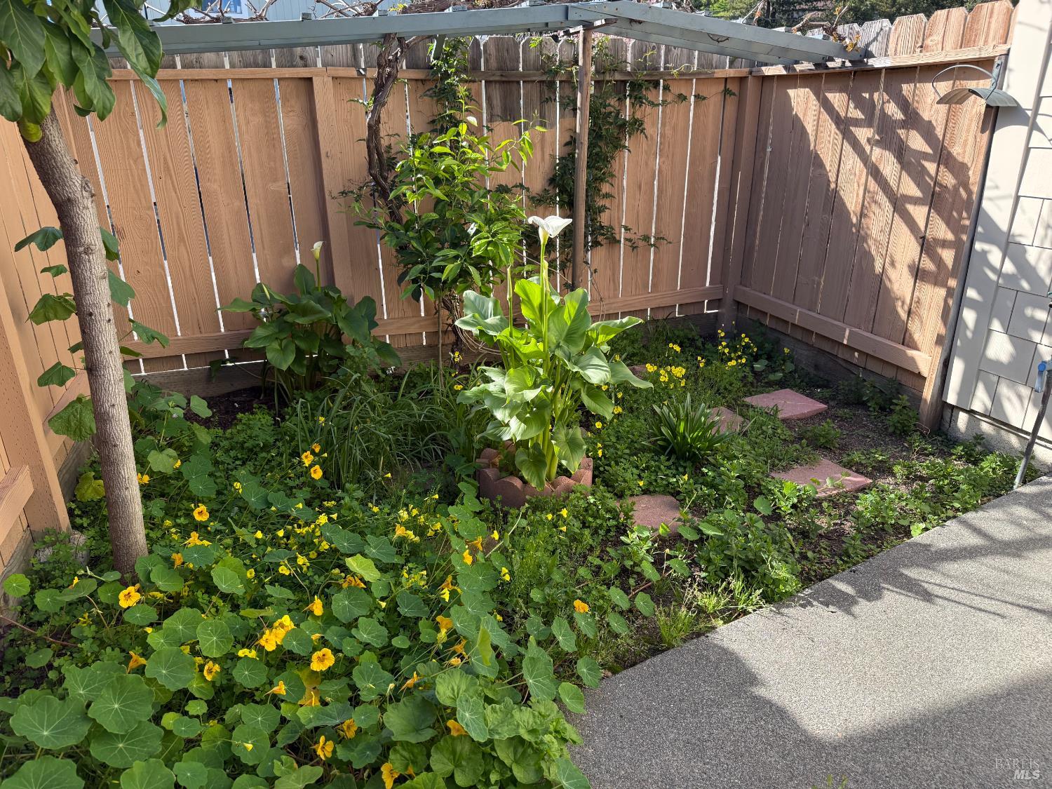 19 Manchester Court Novato, CA 94947 - Photo 10 of 21