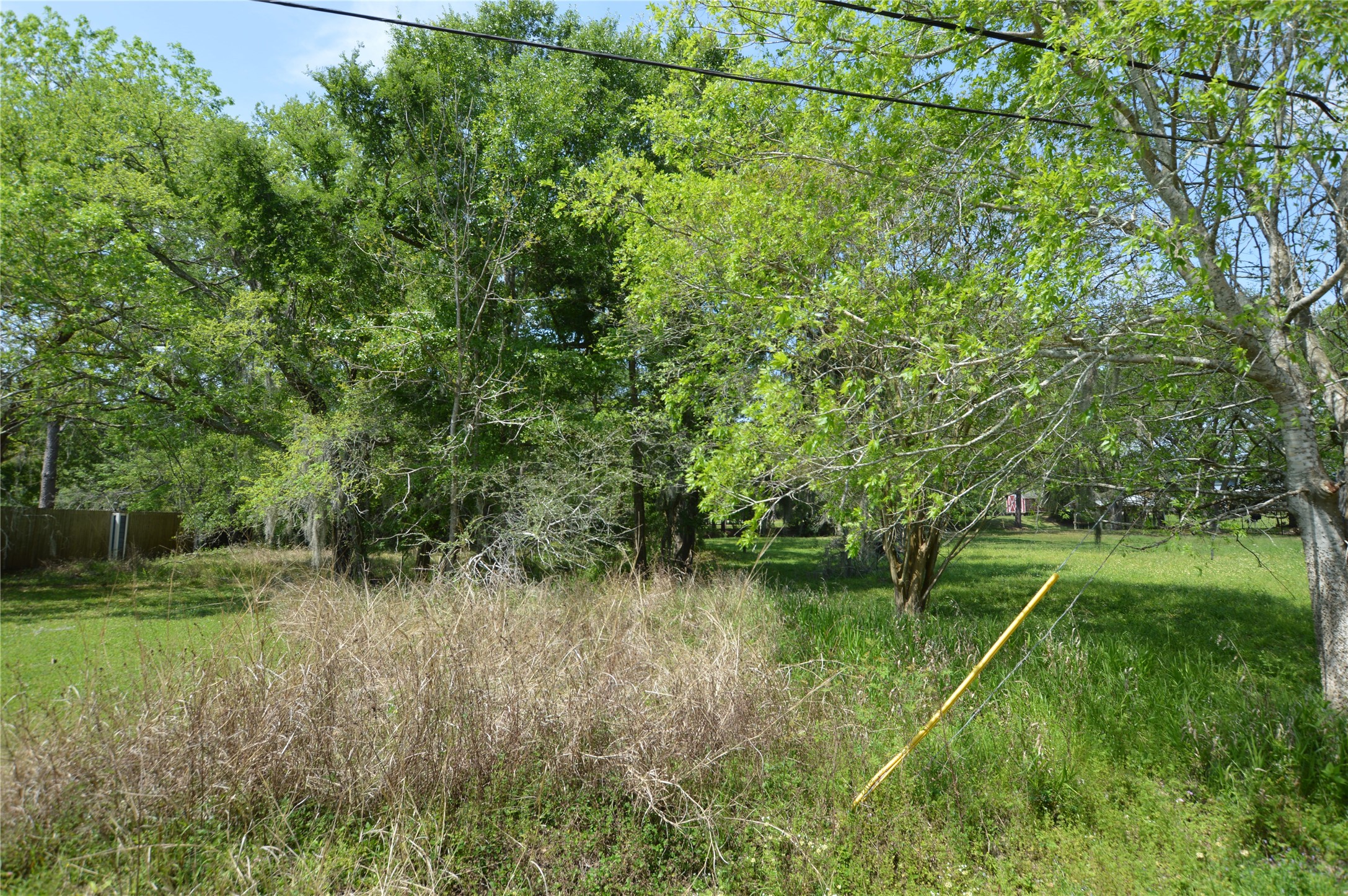 0 Bryant Lane Webster, TX 77598 - Photo 2 of 10 a view of a green field with a tree