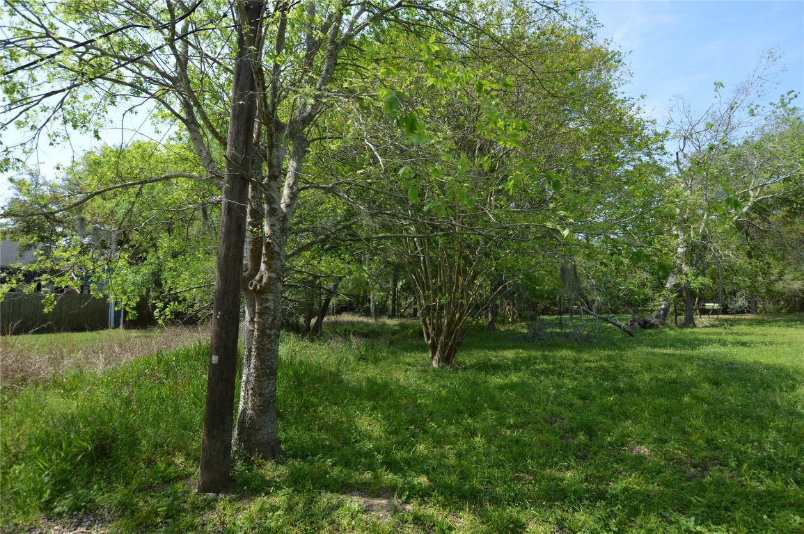 0 Bryant Lane Webster, TX 77598 - Photo 3 of 10 a view of a green field with a tree