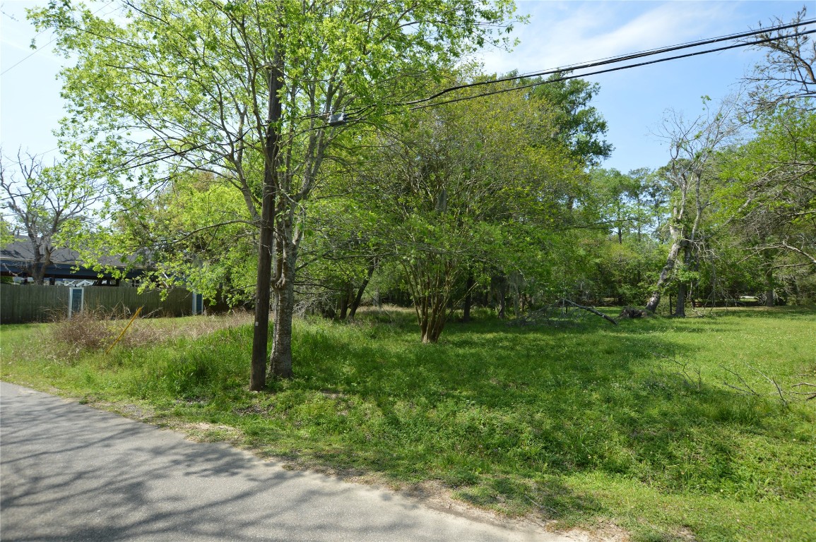 0 Bryant Lane Webster, TX 77598 - Photo 4 of 10 a view of a yard and a lake view