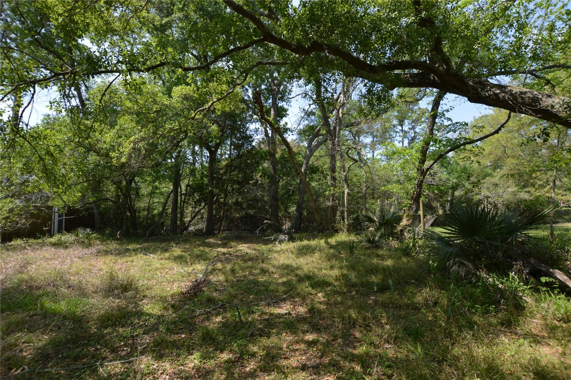 0 Bryant Lane Webster, TX 77598 - Photo 5 of 10 a view of outdoor space and yard