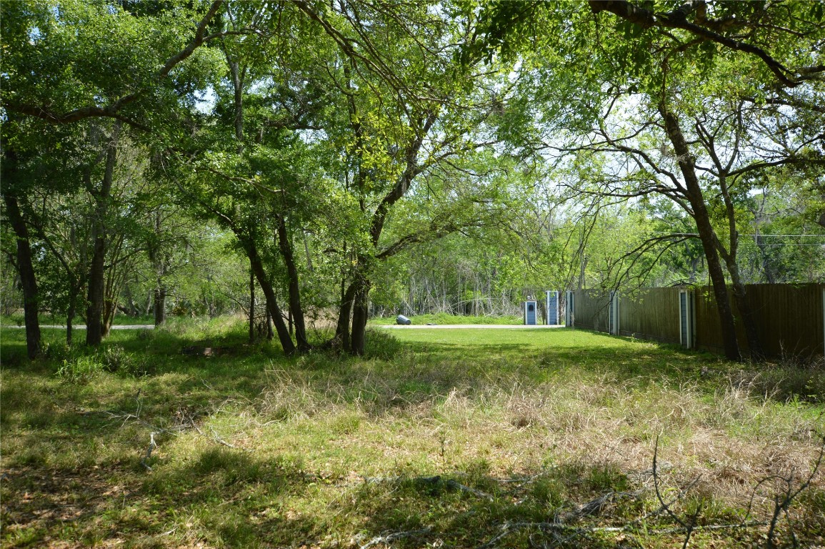 0 Bryant Lane Webster, TX 77598 - Photo 6 of 10 a view of backyard with green space